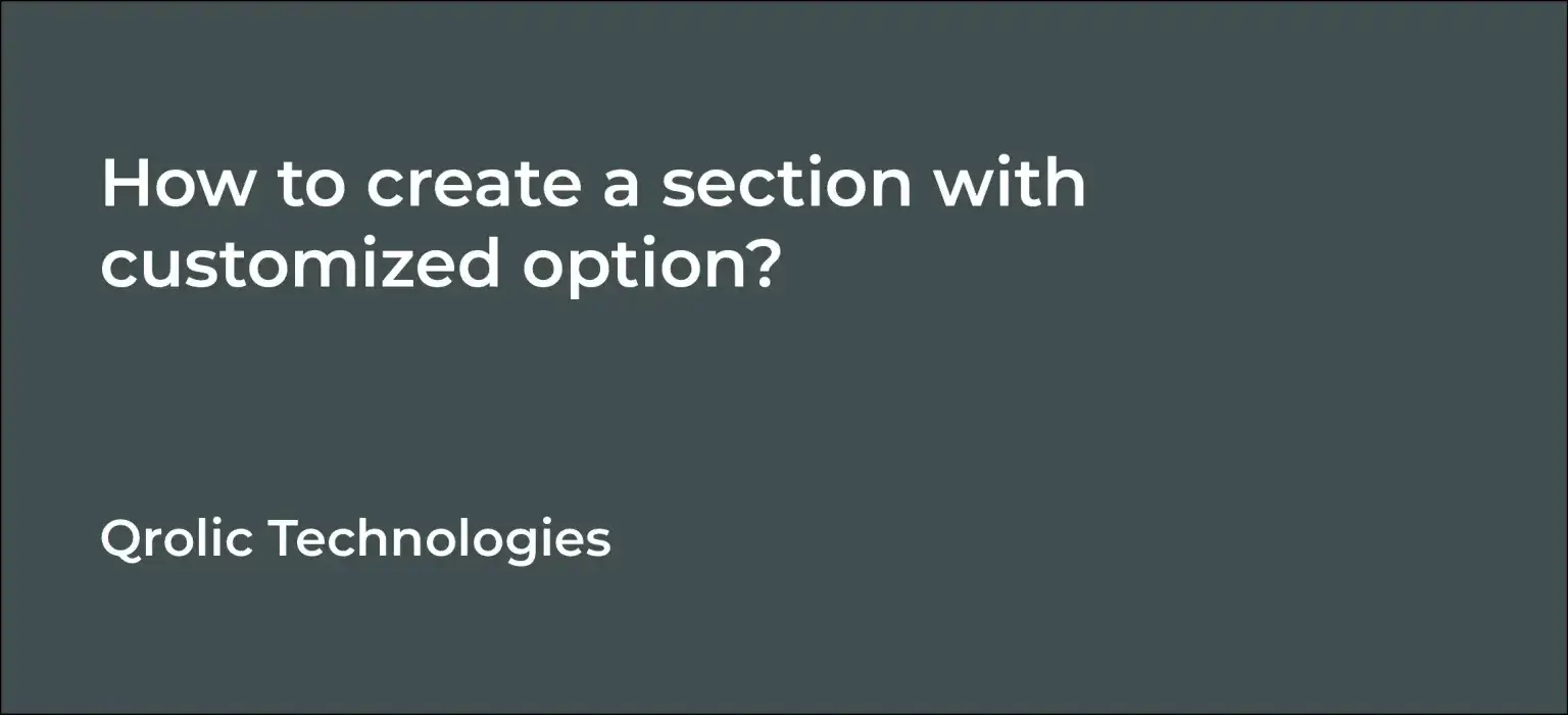 How to create a section with customized option?
