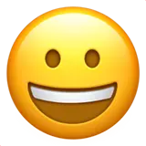 Leading Web Design, Web Development, and WordPress Company smiley-icon