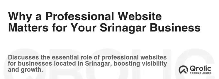 Why a Professional Website Matters for Your Srinagar Business