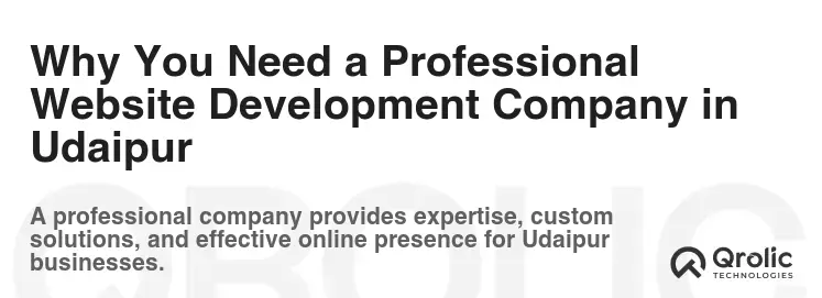 Why You Need a Professional Website Development Company in Udaipur