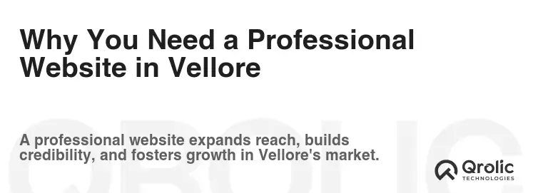 Why You Need a Professional Website in Vellore