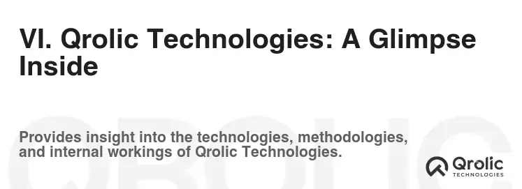 VI. Qrolic Technologies: A Glimpse Inside