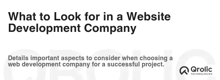 What to Look for in a Website Development Company