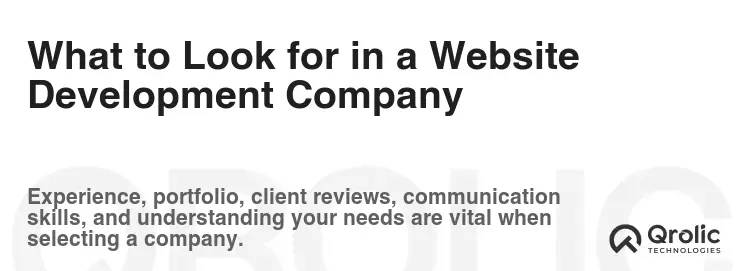 What to Look for in a Website Development Company