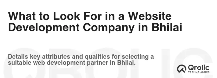 What to Look For in a Website Development Company in Bhilai