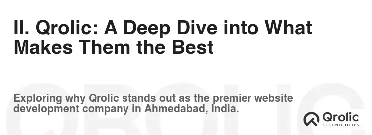 II. Qrolic: A Deep Dive into What Makes Them the Best