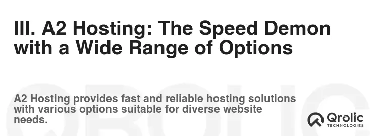 III. A2 Hosting: The Speed Demon with a Wide Range of Options III. A2 Hosting: The Speed Demon with a Wide Range of Options