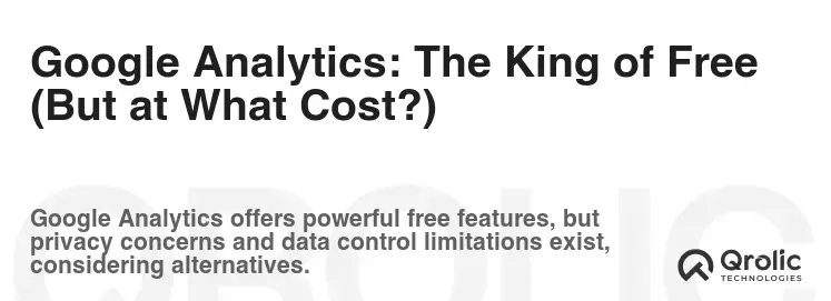 Google Analytics: The King of Free (But at What Cost?)