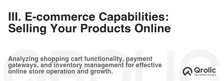 III. E-commerce Capabilities: Selling Your Products Online