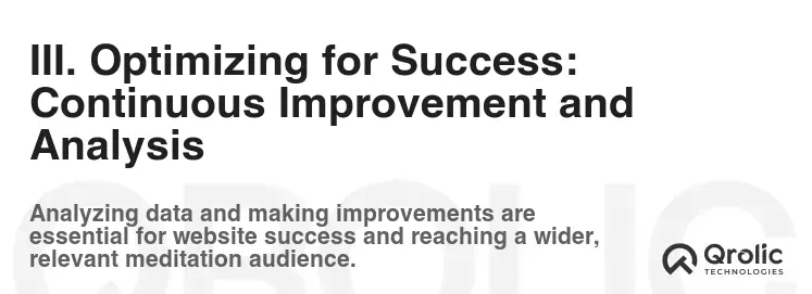 III. Optimizing for Success: Continuous Improvement and Analysis